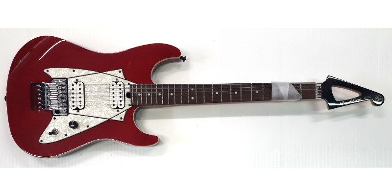 Floyd rose redmond deals